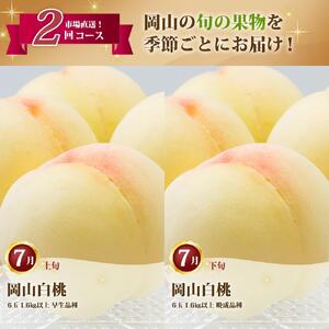 桃 定期便 2026年 岡山 の 白桃 6玉 合計1.6kg以上×2回 お届け 化粧箱入り もも モモ 岡山産 国産 フルーツ 果物 ギフト
