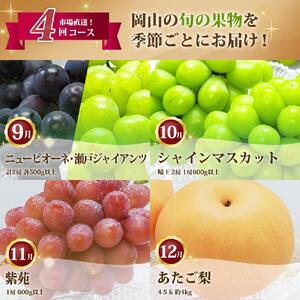 ぶどう 梨 定期便 2026年 フルーツ王国 岡山を堪能 4回コース 秋・冬物語 葡萄 ぶどう 梨 なし 岡山県産 国産 果物 セット ギフト