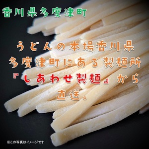 純生讃岐うどん（10人前、つゆ付）【A-19】