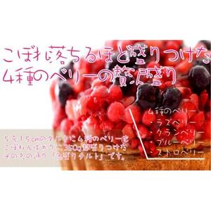 フレッシュタルト 専門店 「STYLE」 ベリー タルト 1個（5号 15cm 860g） 贅沢なサクサク 濃厚 クリーム 極上 デザート