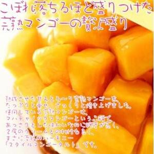 フレッシュタルト 専門店 「STYLE」 マンゴー タルト 1個（5号 15cm 900g） 贅沢なサクサク 濃厚 クリーム 極上 マンゴー デザート