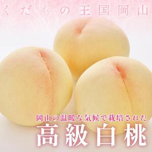 桃 2026年  岡山県産 家庭用 白桃 1kg以上（4～6玉） 品種おまかせ＜6月下旬以降発送＞