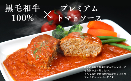 【レビューキャンペーン】トマト煮込みハンバーグ160g×5 【平川市産原料使用】　【 加工品 惣菜 冷凍 洋食 夕飯 お弁当 おかず 】[hi-0029-001]