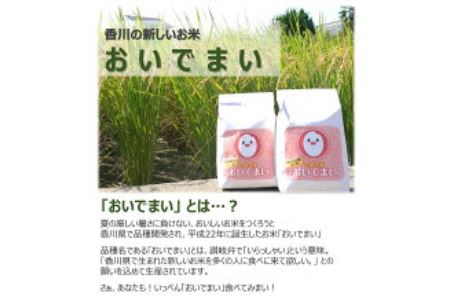 多度津町産 新米 おいでまい【令和7年産新米:11月頃より発送】（白米８kg）【A-11】
