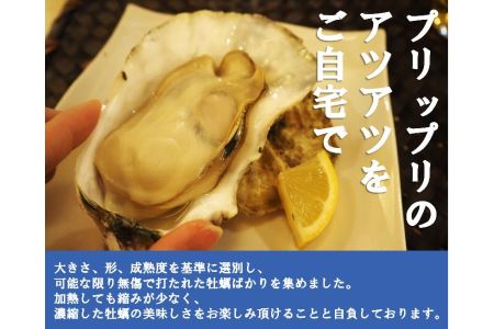殻付活牡蠣カンカン焼セット 4kg (加熱用)【予約受付中：旬にお届け！2026年2月末頃から期間限定出荷！】【B-7】