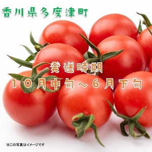 ミニトマト　約３kg【B-23】