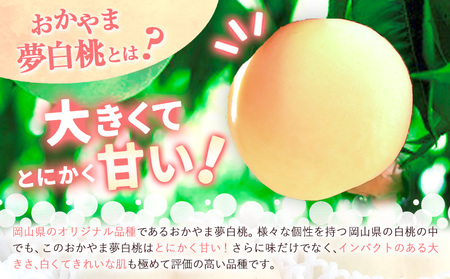 おかやま夢白桃 約2kg 白桃