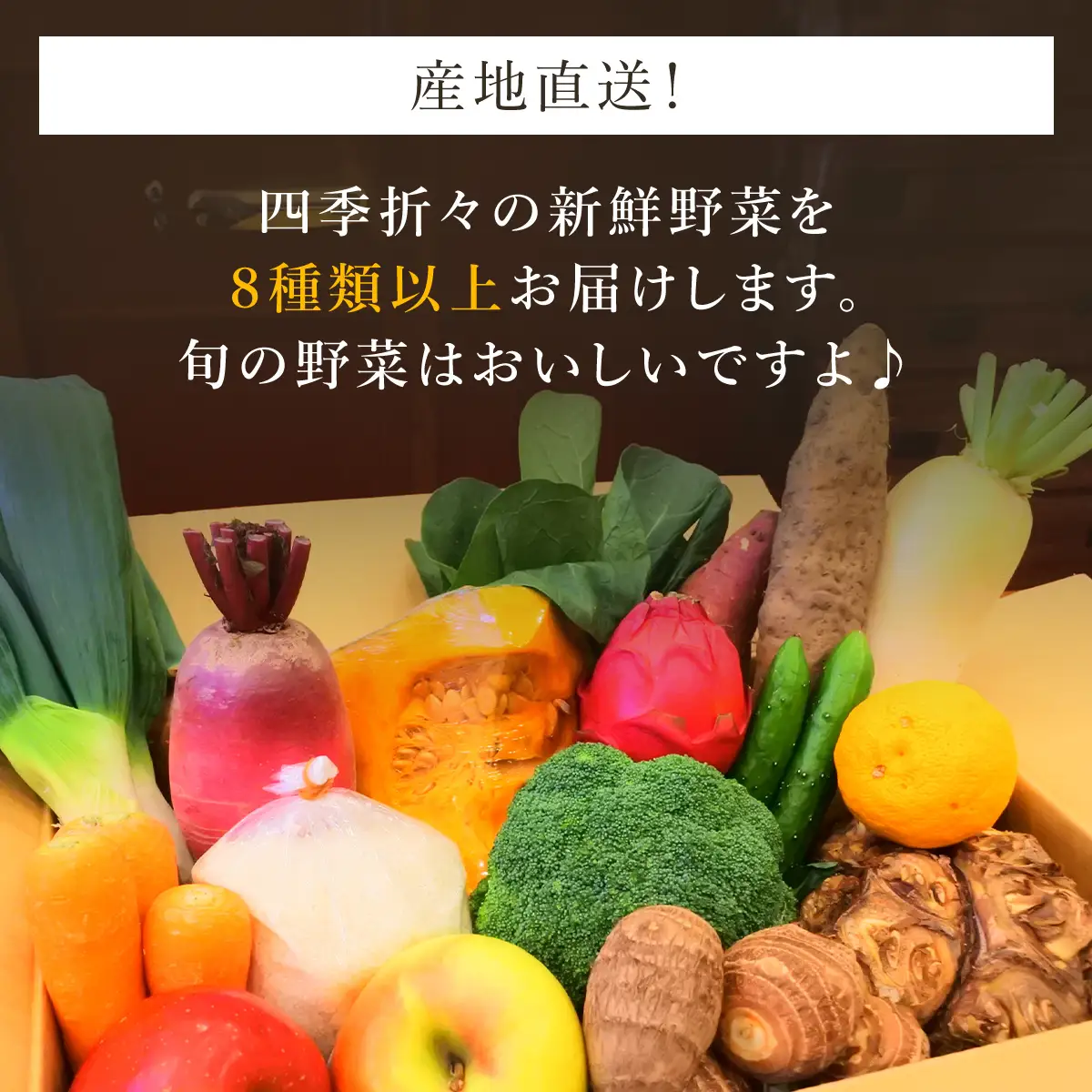 四季折々の新鮮野菜詰め合わせ 旬をお届け! 【8種類以上】 ANAR007