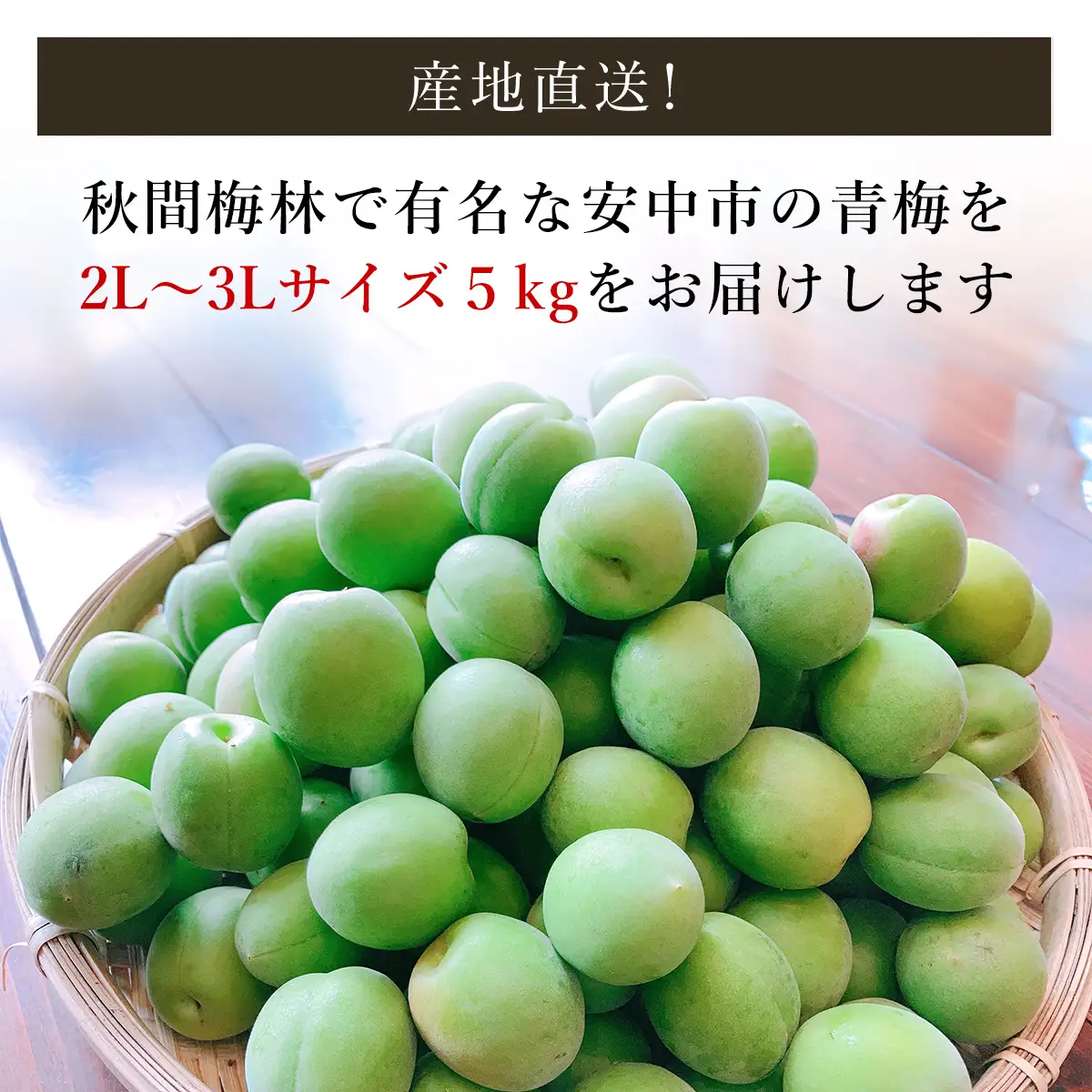 【2026年発送分先行予約】旬をお届け！青梅【２Lサイズ５㎏】 ANAR019