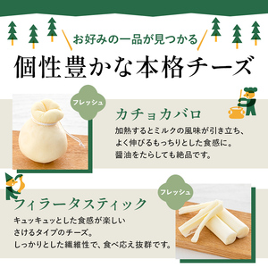 【チーズ工房那須の森】那須の森8種チーズプレミアムセット＜WCA（世界チーズアワード）スーパーゴールド受賞の「森のチーズ 長熟」入り＞ ns003-005
