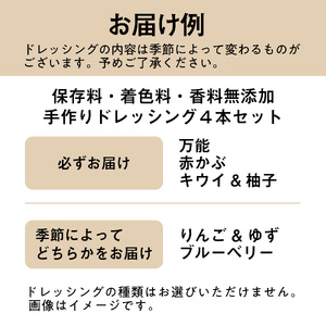 【夢工房もみじ村】保存料・着色料・香料無添加手作りドレッシング４本セット（万能、赤かぶ、キウイ＆柚子、りんご＆ゆず 又は ブルーベリー） ns029-003 調味料 食品 ﾄﾞﾚｯｼﾝｸﾞ ｻﾗﾀﾞ 瓶 ｷﾞﾌﾄ 箱入り 