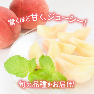 贈答用 飯山の桃 約4kg（10玉～13玉） 香川県 丸亀市 三谷桃園
