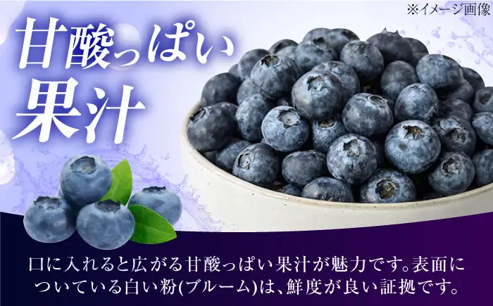 ブルーベリー 生ブルーベリー110g×10 フルーツ 果物 BJBG004