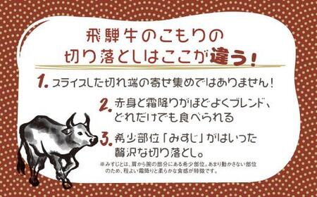 【定期便 隔月発送】全5回 飛騨牛ちょっとリッチな切り落とし（みすじ・ウデすき焼きしゃぶしゃぶ用）300g×2パックセット | 2か月に1回発送 飛騨牛 飛騨高山 切り落とし 肉 牛肉 みすじ ウデ しゃぶしゃぶ すき焼き 人気 飛騨牛のこもり FC102