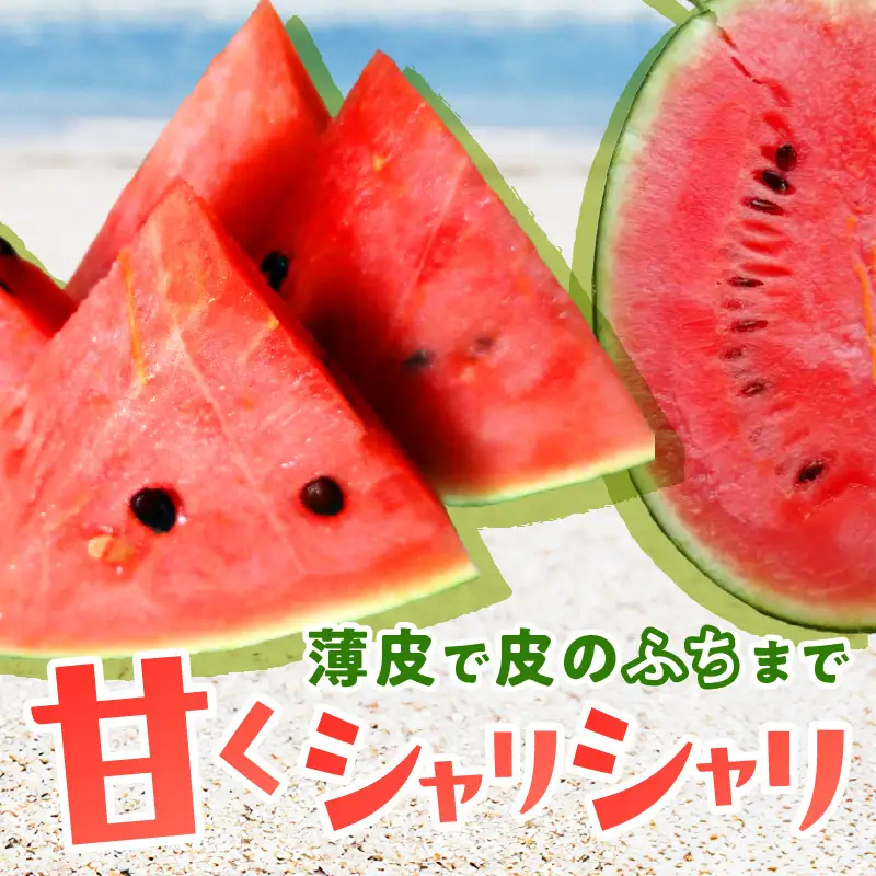 【先行予約／数量限定100】スイカ にしまるスイカ 秀品 1玉｜2026年6月中旬から発送