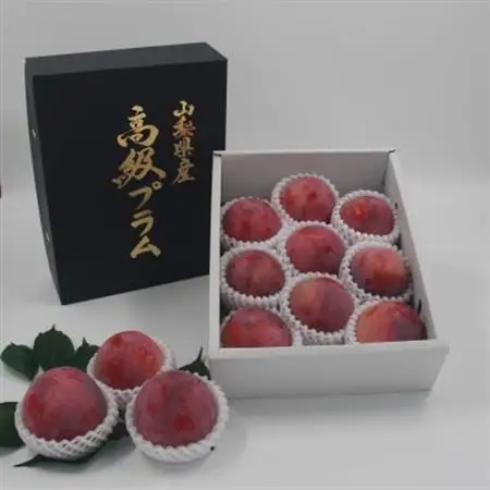 【2026年発送】すもも『大玉貴陽』約1.8kg(7～10玉)【配送不可地域：離島】【1395561】