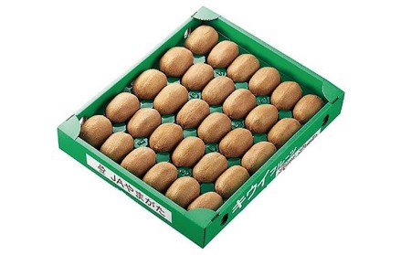 山形市産キウイフルーツ 3.6kg(27～33玉)１月お届け FZ26-830