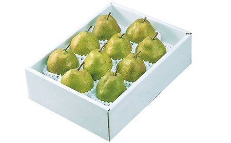 山形市産 ラ・フランス 秀以上 3kg(6～10玉) FZ26-827