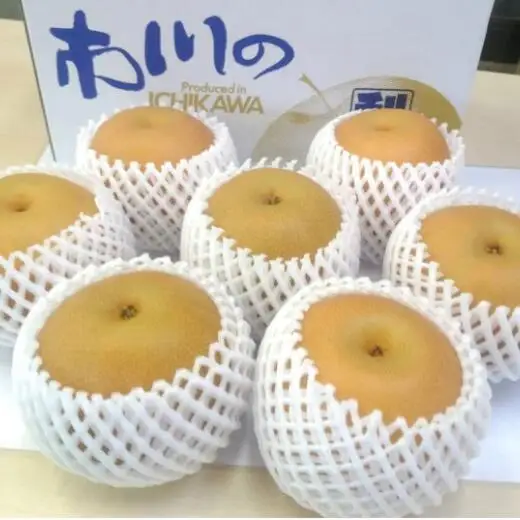 市川の梨　豊水　3kg（5～10個入り）　【12203-0124】