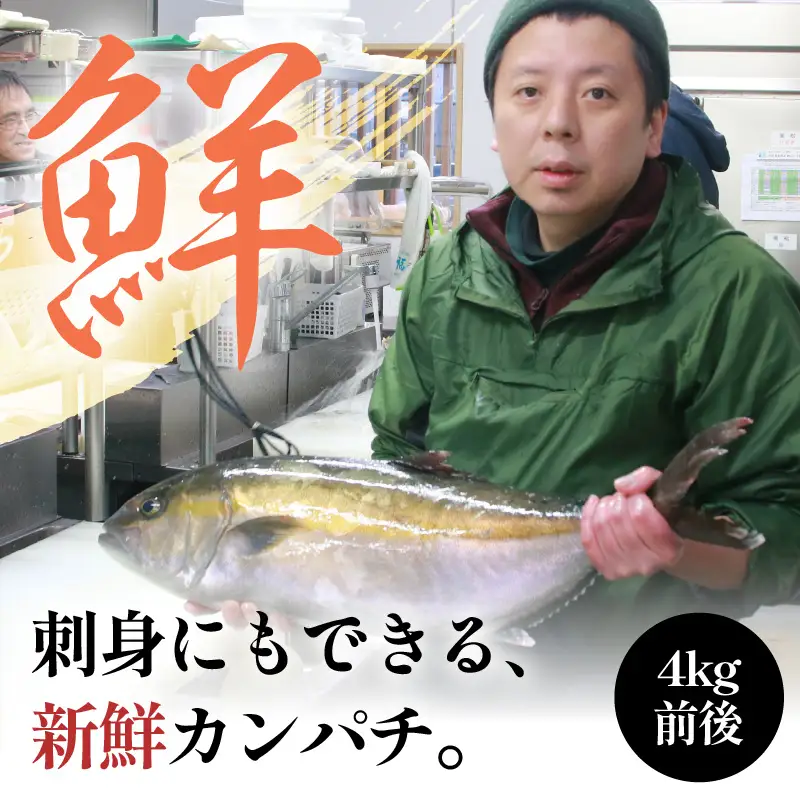 カンパチカマ塩糀漬け（5パック） ／ カンパチ 塩糀漬け ビール お父さん おつまみ 朝食 弁当 魚介類 海の幸 お取り寄せ 人気 [aw002-a009]