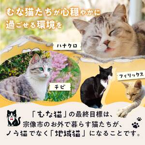 【返礼品なし】「むな猫（旧：てくてくさくらねこ）」　地域猫活動支援【むな猫】_HA1118