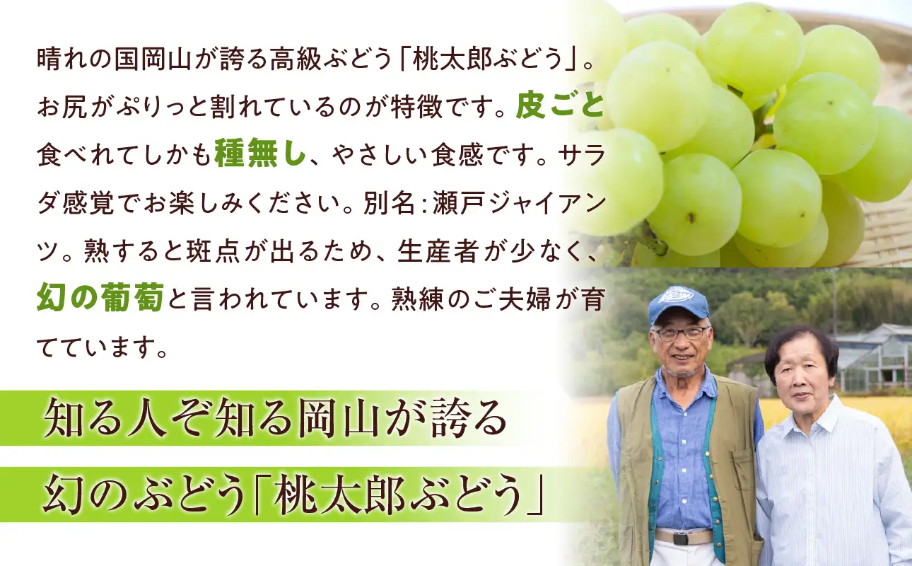 【2026年発送】備前市産 贈答用 桃太郎 ぶどう 約2kg（9月初旬～10月初旬発送予定）【 ぶどう 葡萄 】
