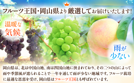 【先行予約】白桃&シャインマスカットセット 小【配送不可地域あり】