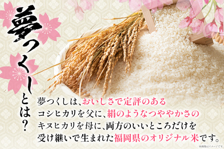 【無洗米】金のめし丸 夢つくし 精米 10kg（5kg×2） 米 無洗米 夢つくし 森光商店 老舗 福岡 お米 ごはん ご飯 お弁当 おにぎり 金のめし丸県産米 福岡ブランド米 めし丸 志免 志免町 福岡県