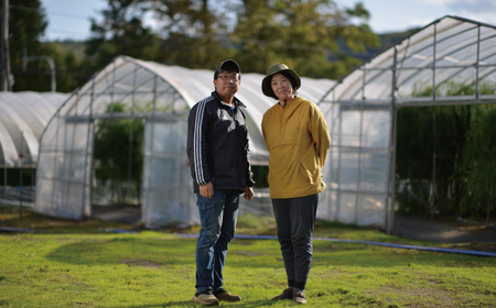 【極太】北海道産 春採り グリーン アスパラガス 1kg　3L～2L 岸本農場