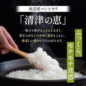 令和7年産魚沼産特別栽培米コシヒカリ［清津の恵］精米10kg（5kgx2袋）