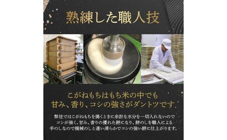 令和7年産 こがねもち使用 越路もち個包装パック 12枚入り×2パック (約1升） 餅 モチ 切り餅 おもち お餅 新潟