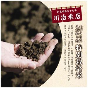 令和7年産 魚沼産 コシヒカリ 特別栽培米 2kg 米 こしひかり お米 コメ 新潟 魚沼 魚沼産 白米 送料無料 新潟県産 精米 産直 産地直送 契約農家 お取り寄せ 魚沼三昧 川治米店 新潟県 十日町市 もちもち 