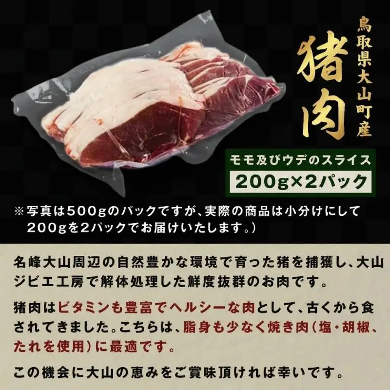 GB-01　猪肉モモ 400ｇ