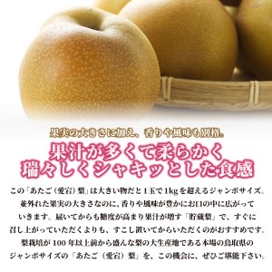 DS-10　あたご梨 5kg