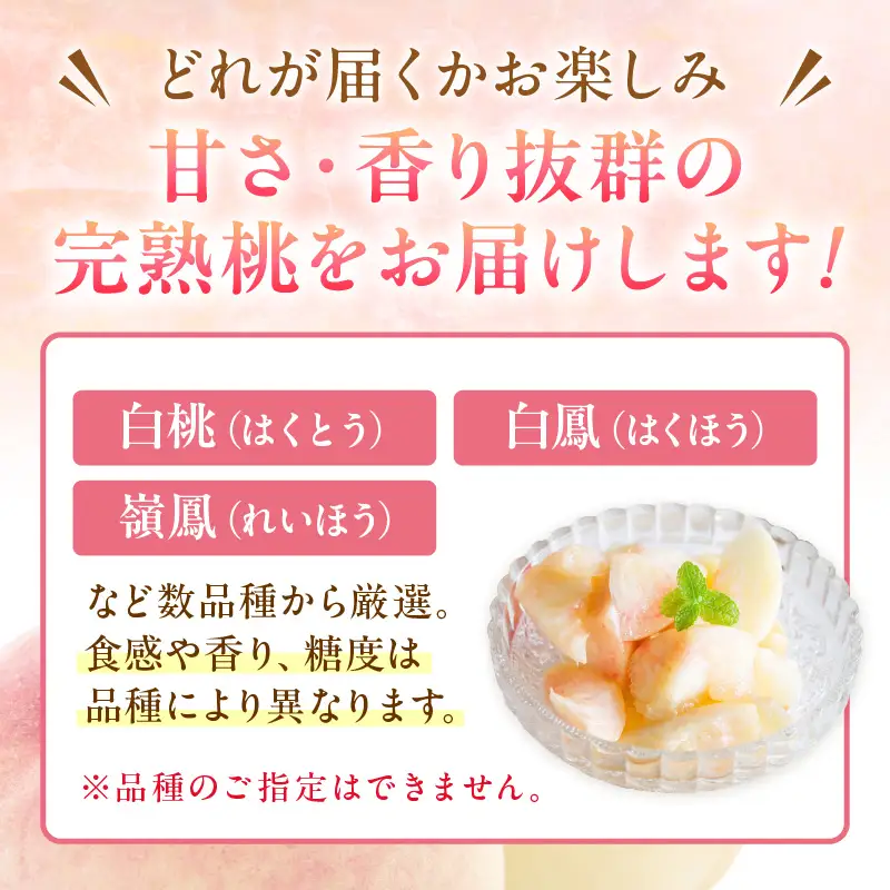 桃 京丹後産 6～12玉【2026年7月下旬～発送】フルーツ モモ