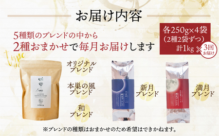 【定期便3回】訳あり コーヒー 【豆】  1kg ( 2種 おまかせ 250 g × 4袋 ) g