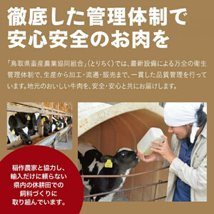鳥取牛サンカクバラ焼肉用 600g（冷凍）