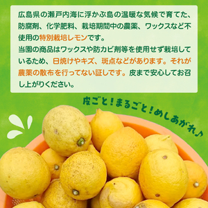 【2026年5月～発送】栽培期間中農薬不使用「レモン」約2kg【クール便】ku033-003-25