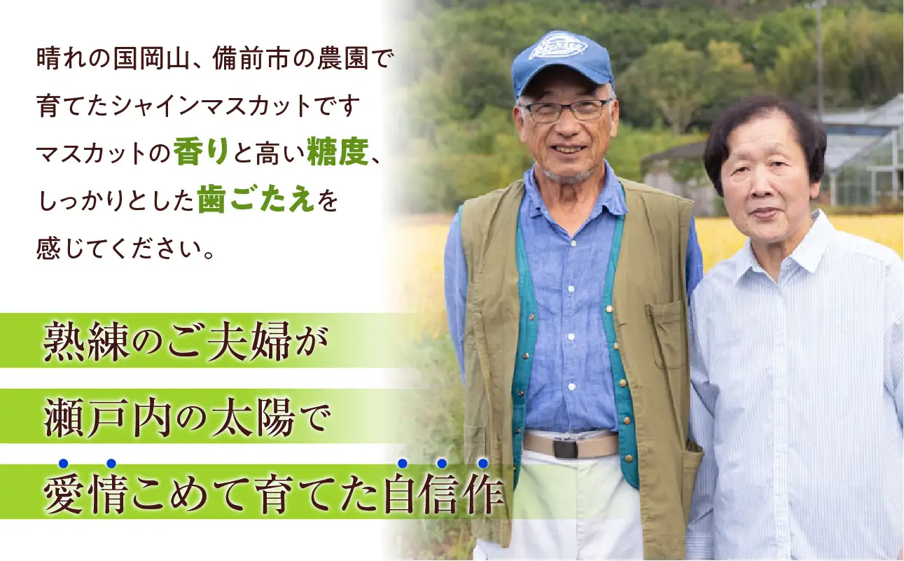 【2026年発送】備前市産 贈答用 シャイン マスカット 約2kg（8月中旬～9月中旬頃発送）【シャインマスカット 贈答用】