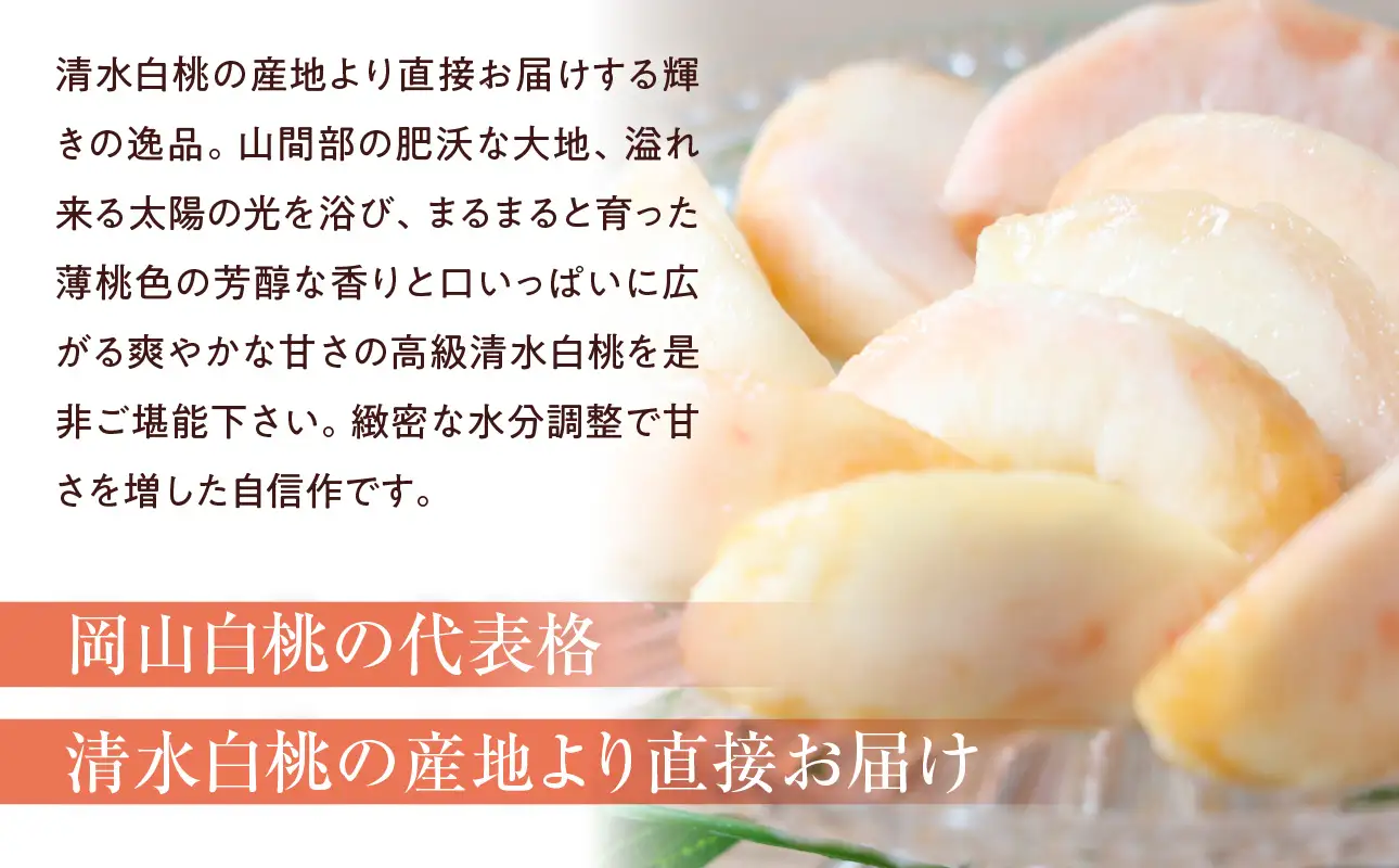 【2026年発送】清水白桃　5玉入り（7月下旬～8月初旬頃発送）【 白桃 桃 もも】