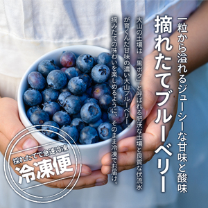 MS-30　冷凍ブルーベリー1.2kg