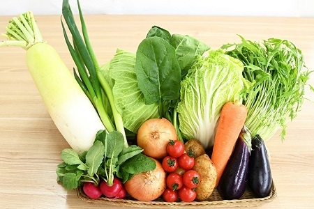 【6回定期便】 京丹波 旬菜セット レギュラー 9～11品目【 野菜 野菜定期便 野菜詰め合わせ 野菜セット 京野菜 】 [072KK001R]