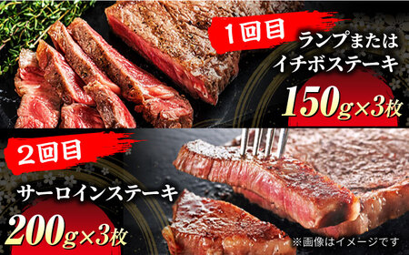 【4回定期便】飛騨牛 ステーキ三昧（3人前）総計2,040g【マルゴー】サーロイン 赤身 ヒレ [MBE062]