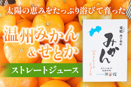 ＜【数量限定】果汁100％ みかんジュース 720ml×3本セット＞ 温州みかん せとか 果物 オレンジ ミカン みかん 蜜柑 柑橘 フルーツ 果実 くだもの 特産品 2種類 無添加 ストレート 西宇和産 玉やま農園 愛媛県 西予市 【常温】『1か月以内に順次出荷予定』MTN0004