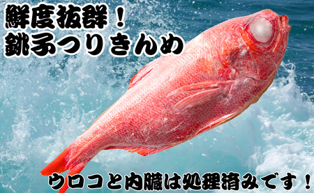 銚子釣り金目 特大金太郎 1kg 金目
