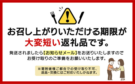 活あわび 中小オガイ・メガイ セット 計4個 【期間限定】天然 あわび [m21-g005]