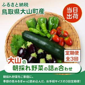 MS-03　新鮮朝採れ野菜 お手頃セット頒布会（計3回）