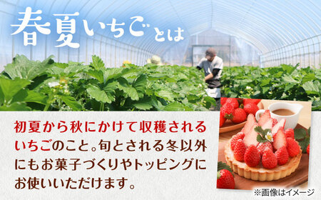 先行予約 26年5月以降発送 春夏イチゴ ゆきララ 600g いちご 苺 北海道 [AXBT002]