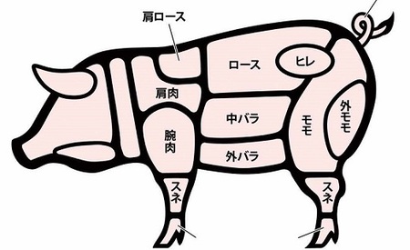 定期便 松阪豚 半頭買い 12回 豚肉 豚肉【001977】