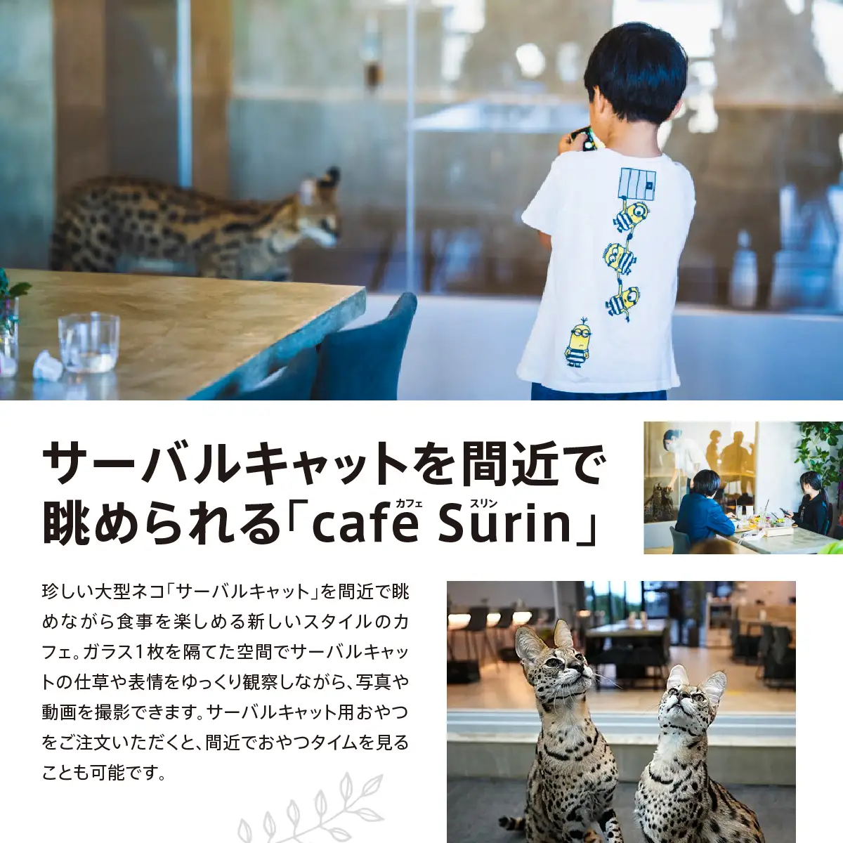 お食事券 3,000円分 cafe Surin ( カフェ スリン ) 南城市   